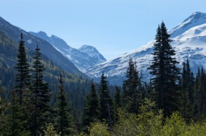 Alaska wilderness