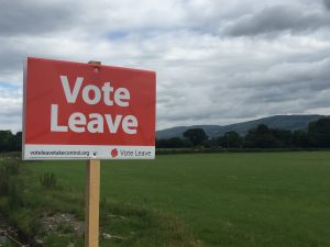 Vote leave sign
